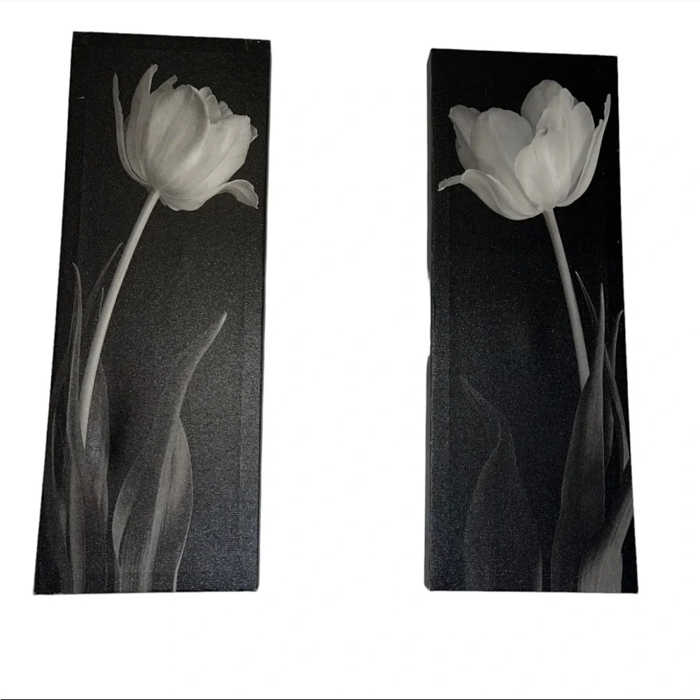 Set of 2 -Lilies on Black/Gray Contemporary Fine Art-on Canvas Art paint…